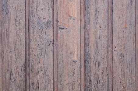 Fence structure wood grain Photo