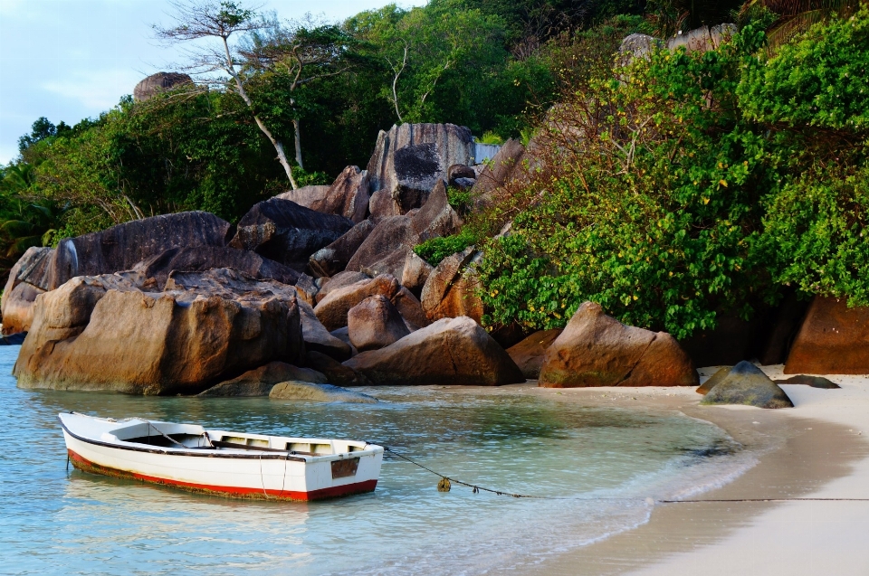 Plage mer eau rock