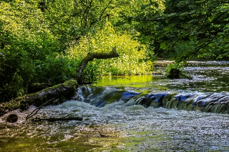 Landscape tree water nature Photo