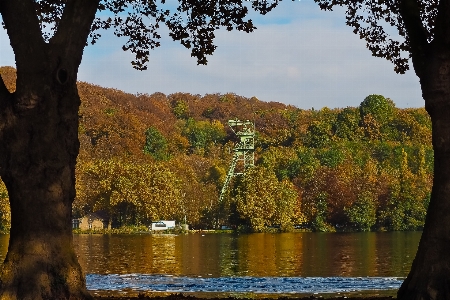 Landscape tree water nature Photo