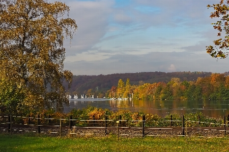 Landscape tree water nature Photo