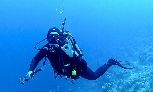 Water recreation diving underwater Photo