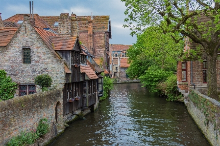 Water flower town river Photo