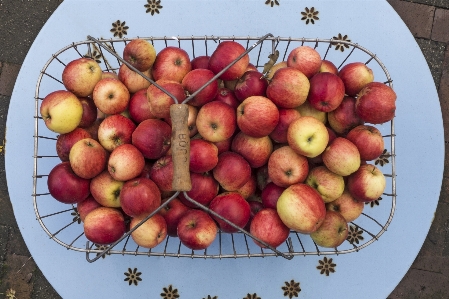 Apple 植物 フルーツ 熟した
 写真