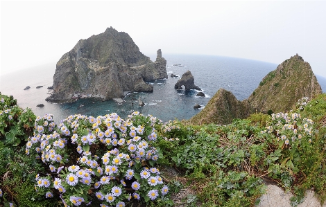 Foto Laut pesisir rock gunung