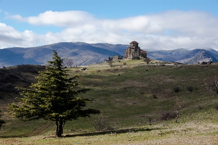 Landscape tree nature outdoor Photo