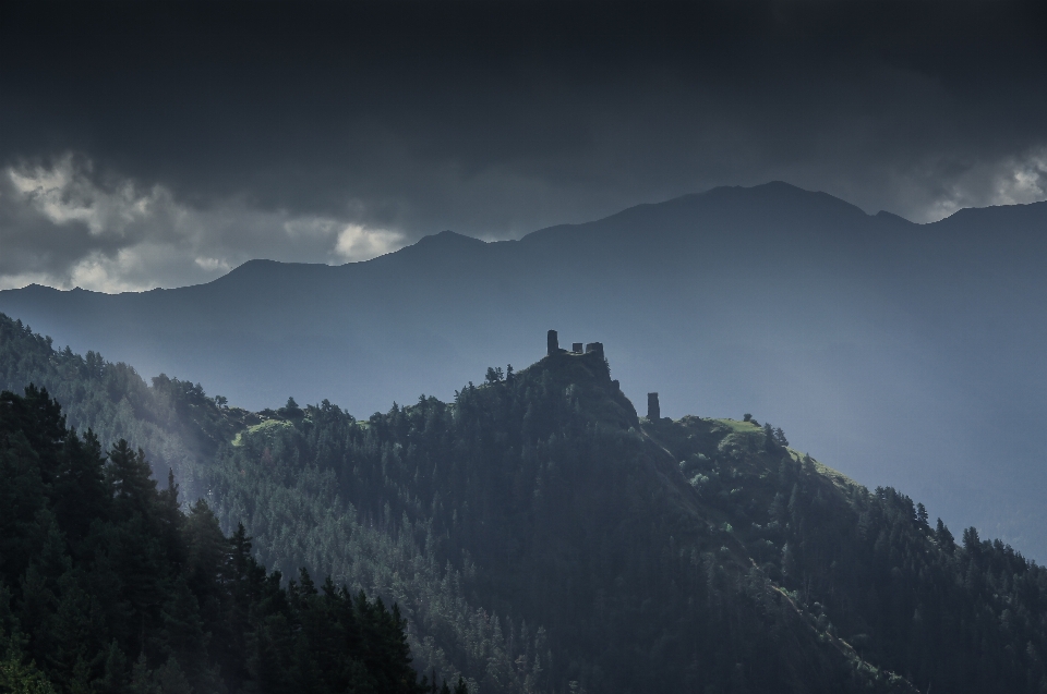 Paesaggio natura all'aperto selvaggia
