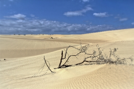 Beach landscape coast nature Photo