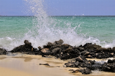 Beach sea coast water Photo