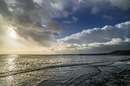 Beach sea coast water Photo