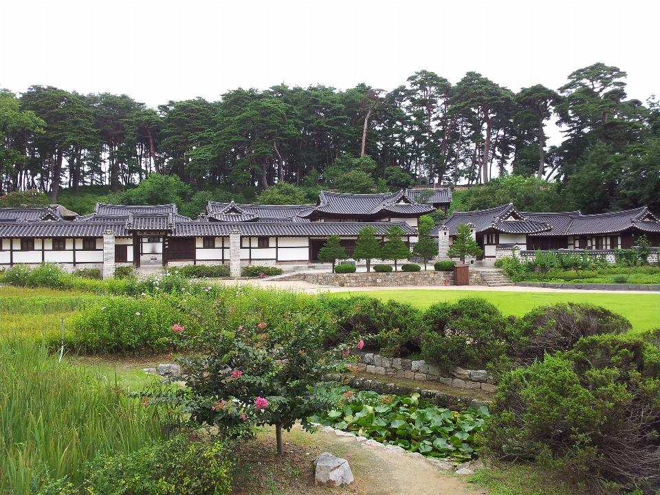 景观 夏天 村庄 风景