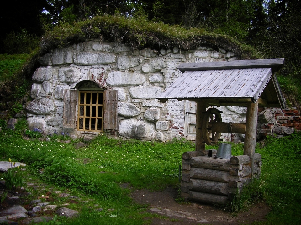 Natura foresta casa edificio