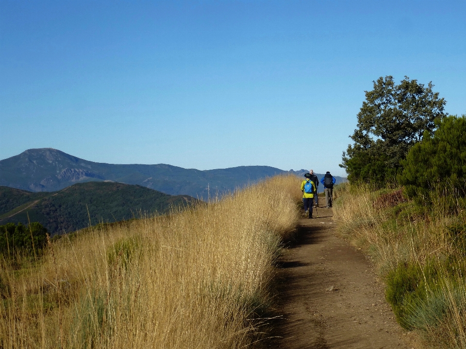 Landscape nature path wilderness