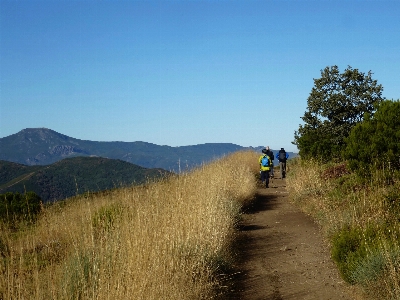 Landscape nature path wilderness Photo