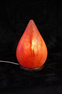 Plant fruit food red Photo