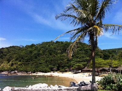 Beach landscape sea coast Photo