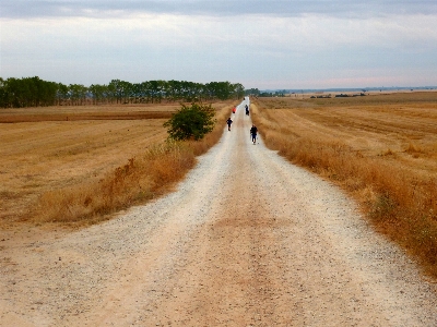 Landscape coast nature path Photo