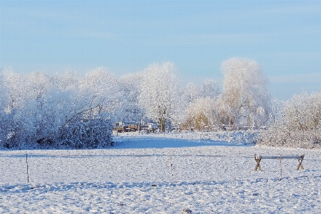 Landscape snow cold winter Photo