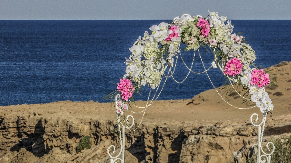 海 砂 花 アーチ