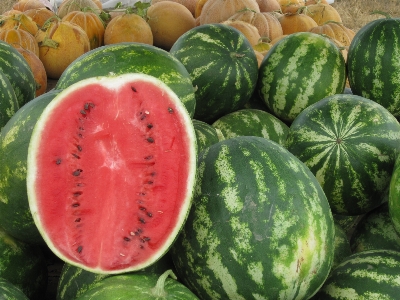 植物 フルーツ 夏 食べ物 写真