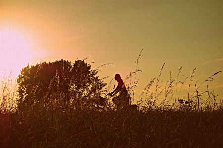 Tree nature grass horizon Photo