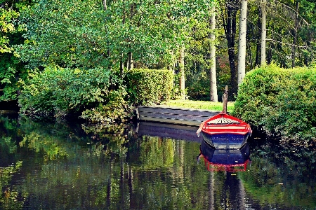 Foto Paisagem árvore água natureza