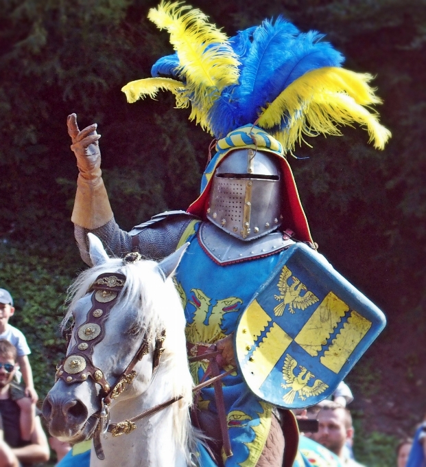 Carnaval les chevaux festival chevalier