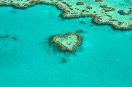 Sea ocean underwater heart Photo