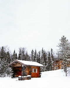 Dağ kar kış sıradağlar
 Fotoğraf