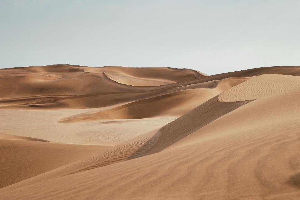 Landscape sand desert dune