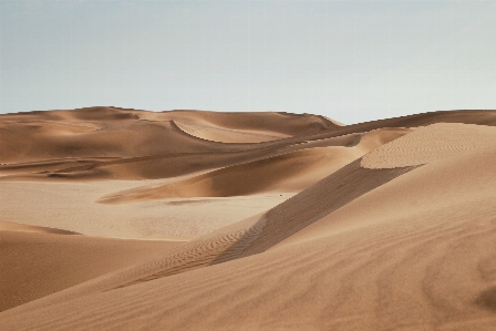 Landscape sand desert dune Photo