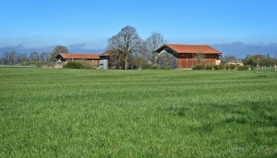 Paesaggio natura erba architettura