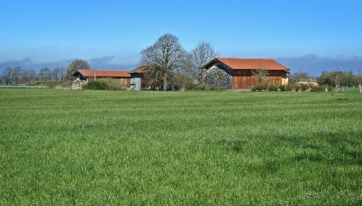 Landscape nature grass architecture Photo