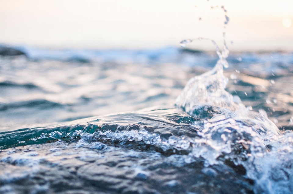 海 海岸 水 海洋