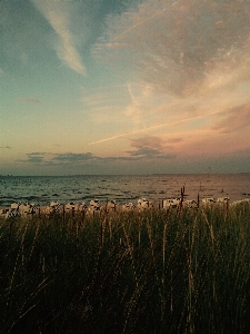 Beach landscape sea coast Photo