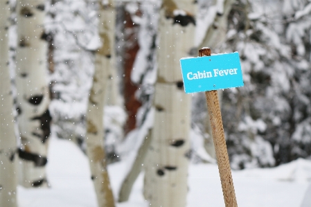 Foto Nieve invierno madera hielo