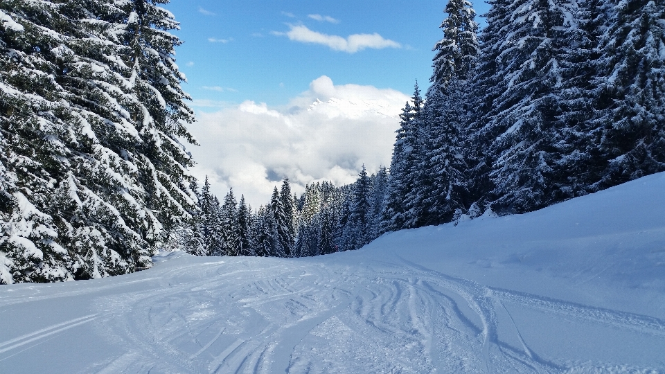 Natura góra śnieg zimno