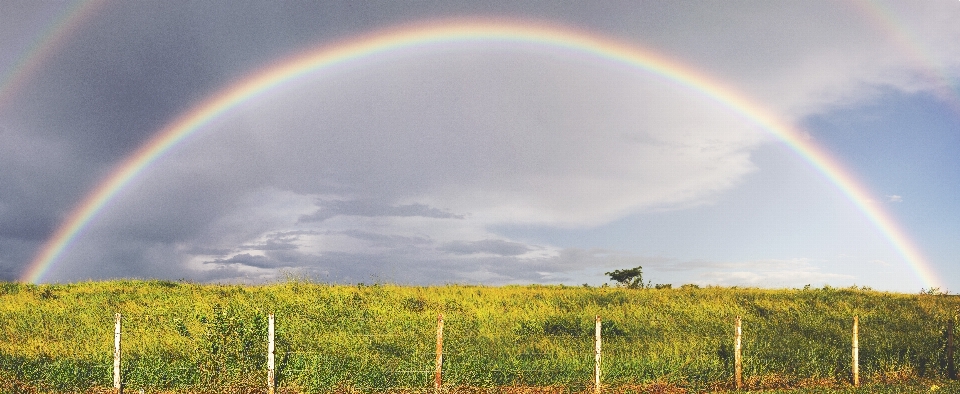 Paisagem nuvem céu campo