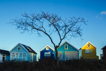 Foto Albero cielo casa fiore