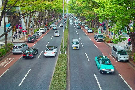 Pedestrian road traffic street Photo