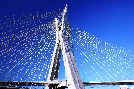 Architecture bridge skyscraper suspension Photo