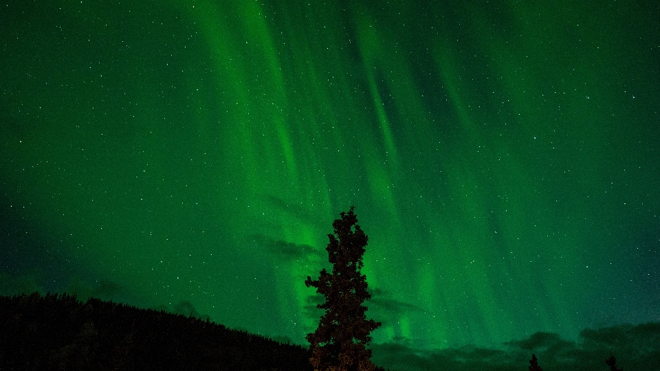 Silhouette sky night atmosphere