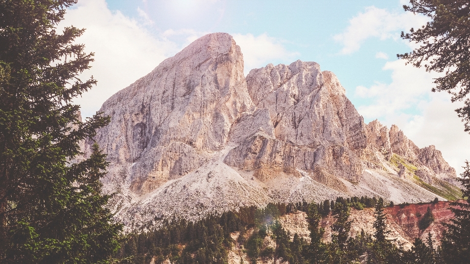 Baum rock wildnis
 berg