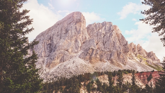 Tree rock wilderness mountain Photo