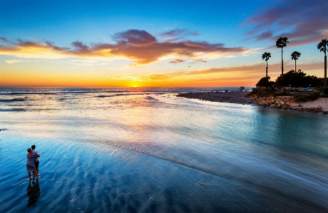 海滩 海 海岸 沙 照片