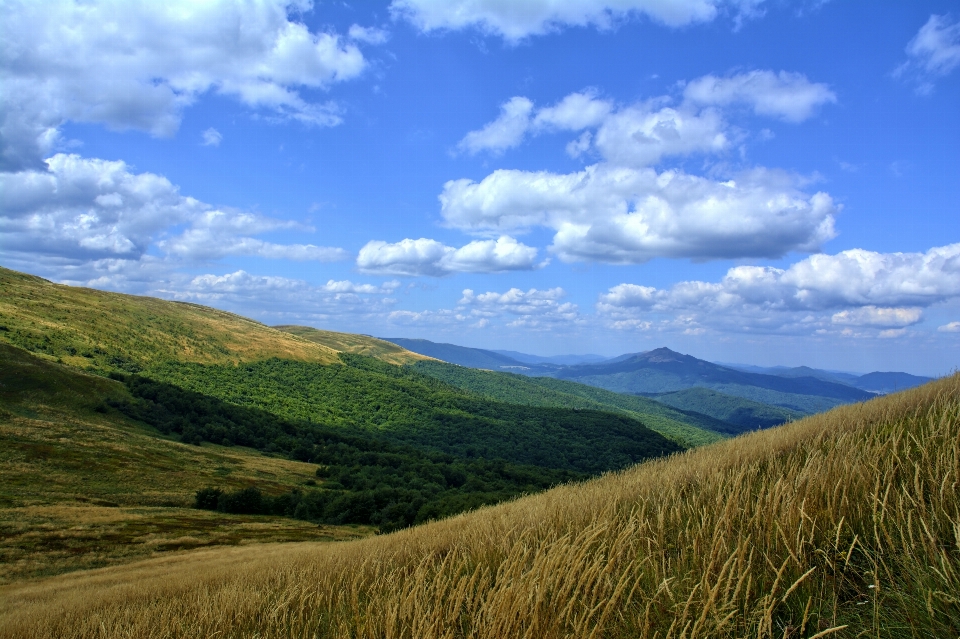 Landscape nature grass horizon