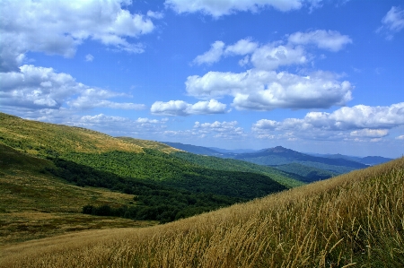 Landscape nature grass horizon Photo