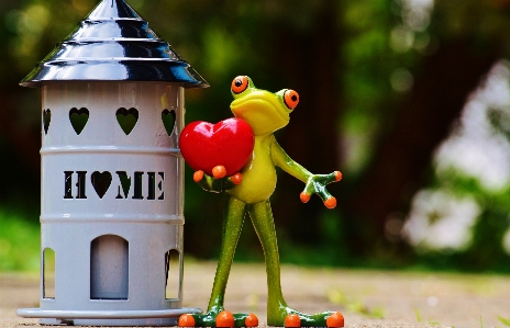 Play sweet home cute Photo