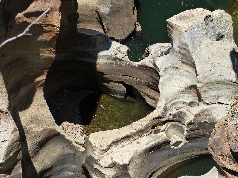 Paesaggio albero acqua natura