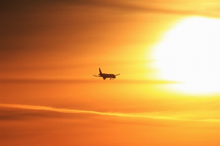 Horizon silhouette wing sky Photo